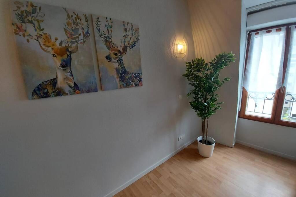 Appartement Moderne, Hyper-centre - 6/8 pers. Bagnères-de-Luchon Extérieur photo
